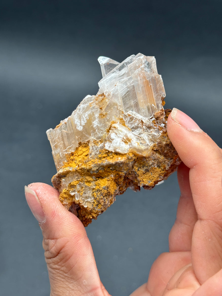 Selenite from Buena Tierra Mine, Mexico