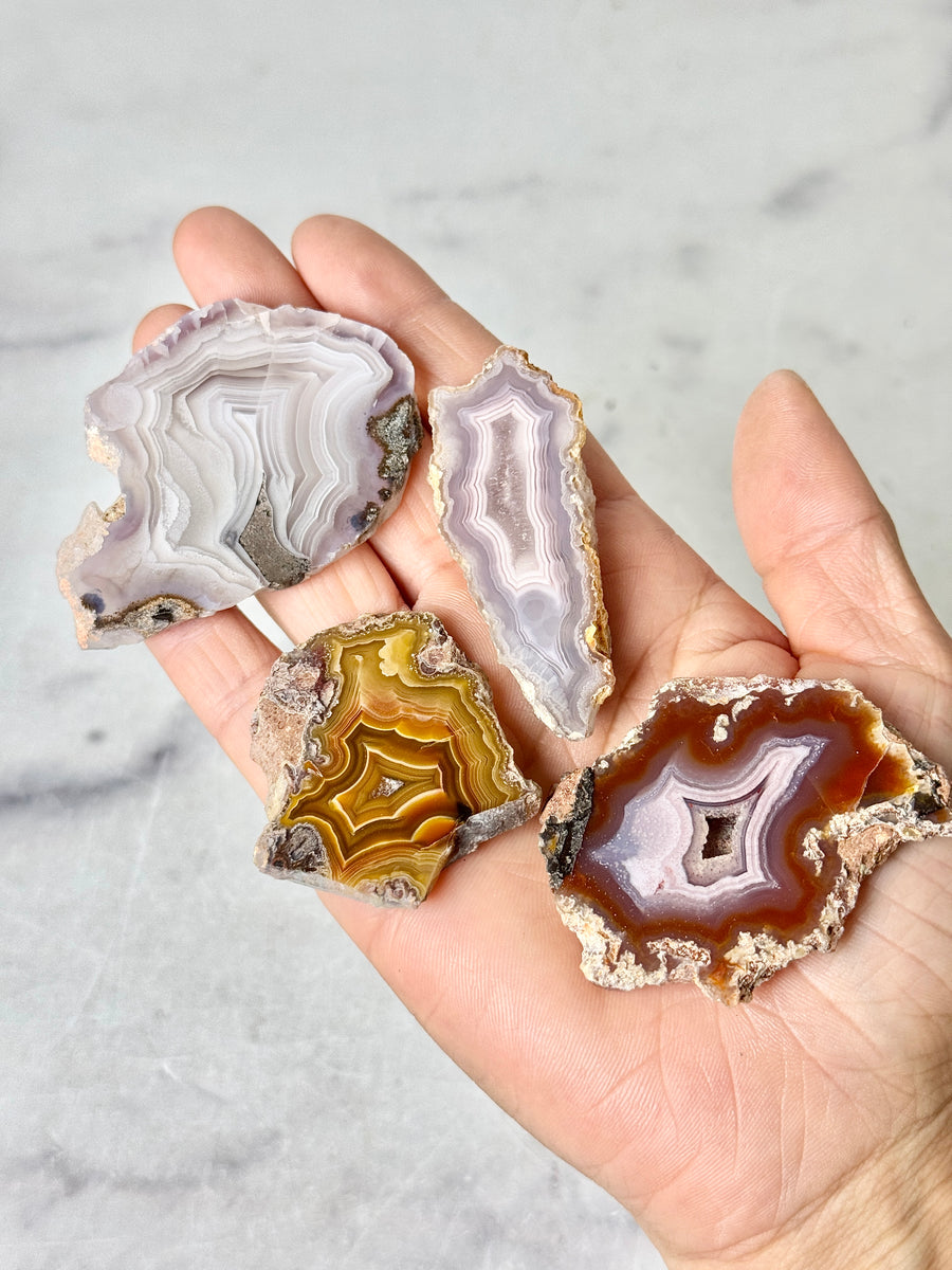 Laguna Agate Slice from Chihuahua Mexico