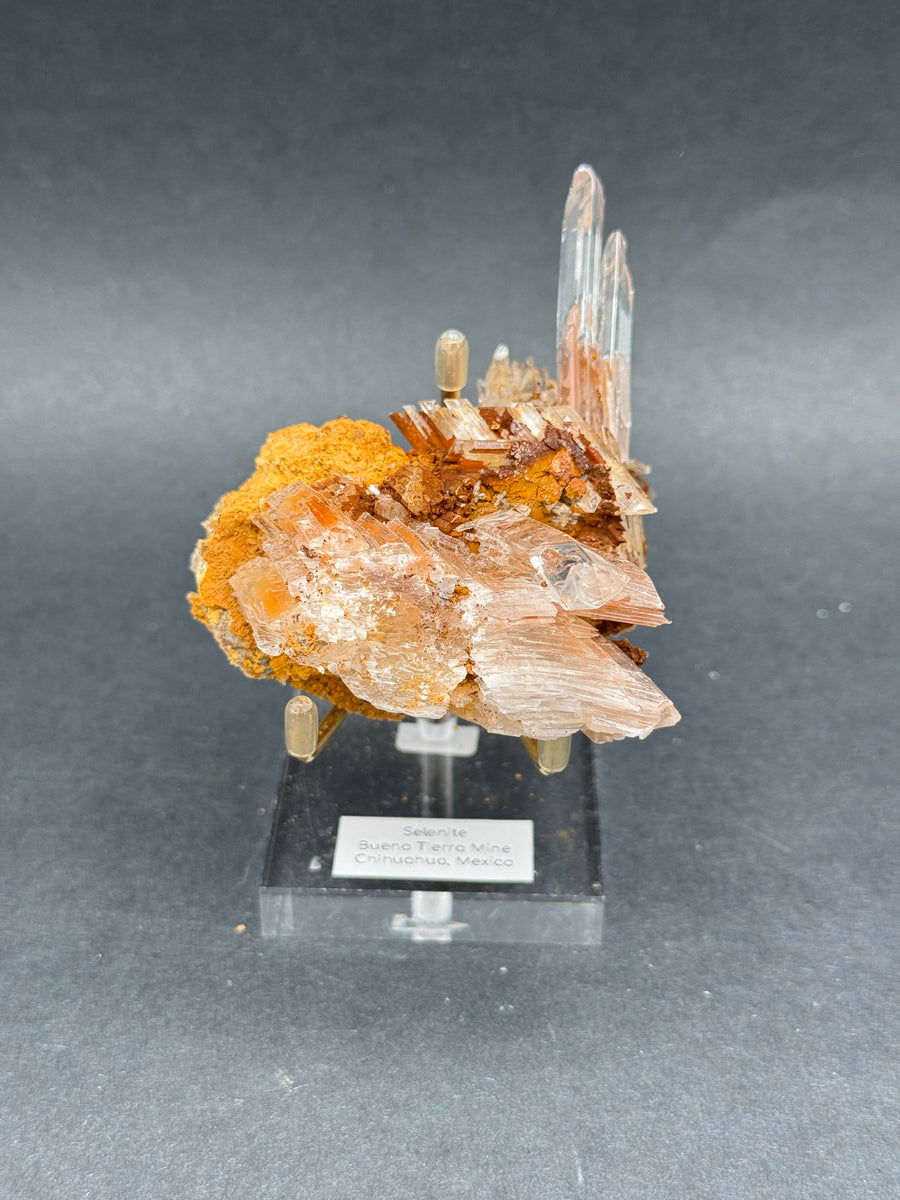 Selenite from Buena Tierra Mine, Mexico