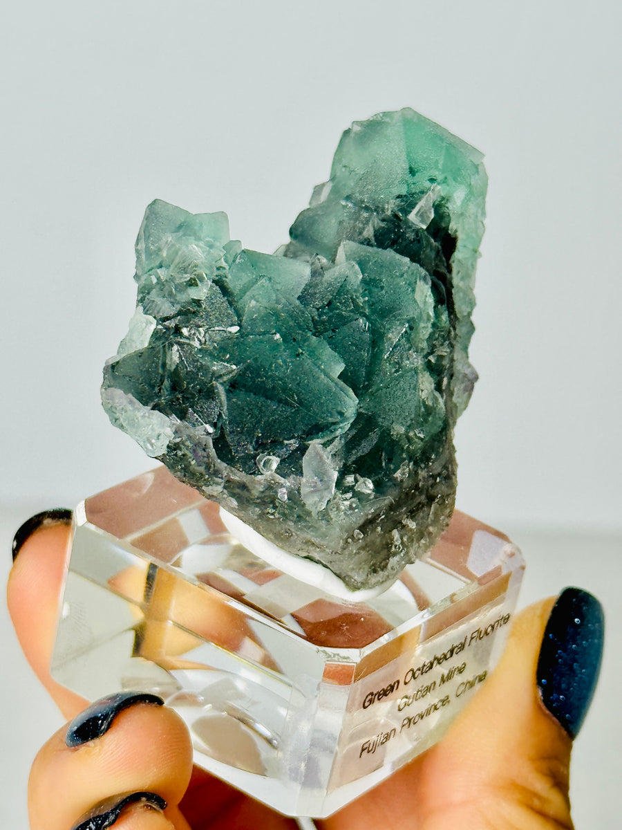 Green Octahedral Fluorite from Gutian Mine, Fujian, China