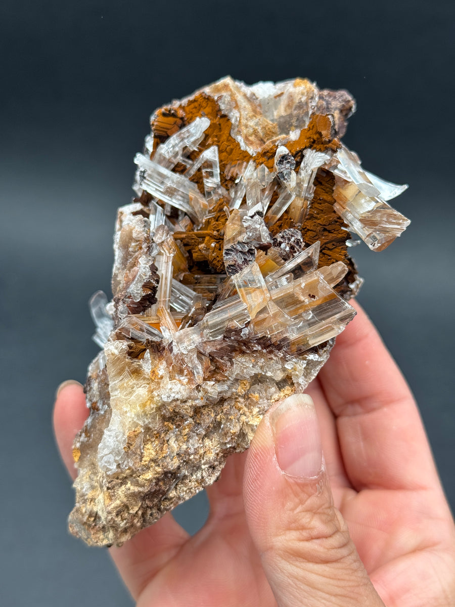 Selenite from Buena Tierra Mine, Mexico