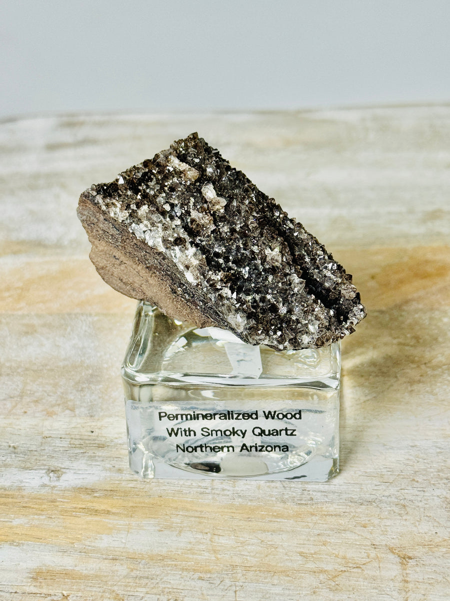 Permineralized Wood with Smoky Quartz from Arizona