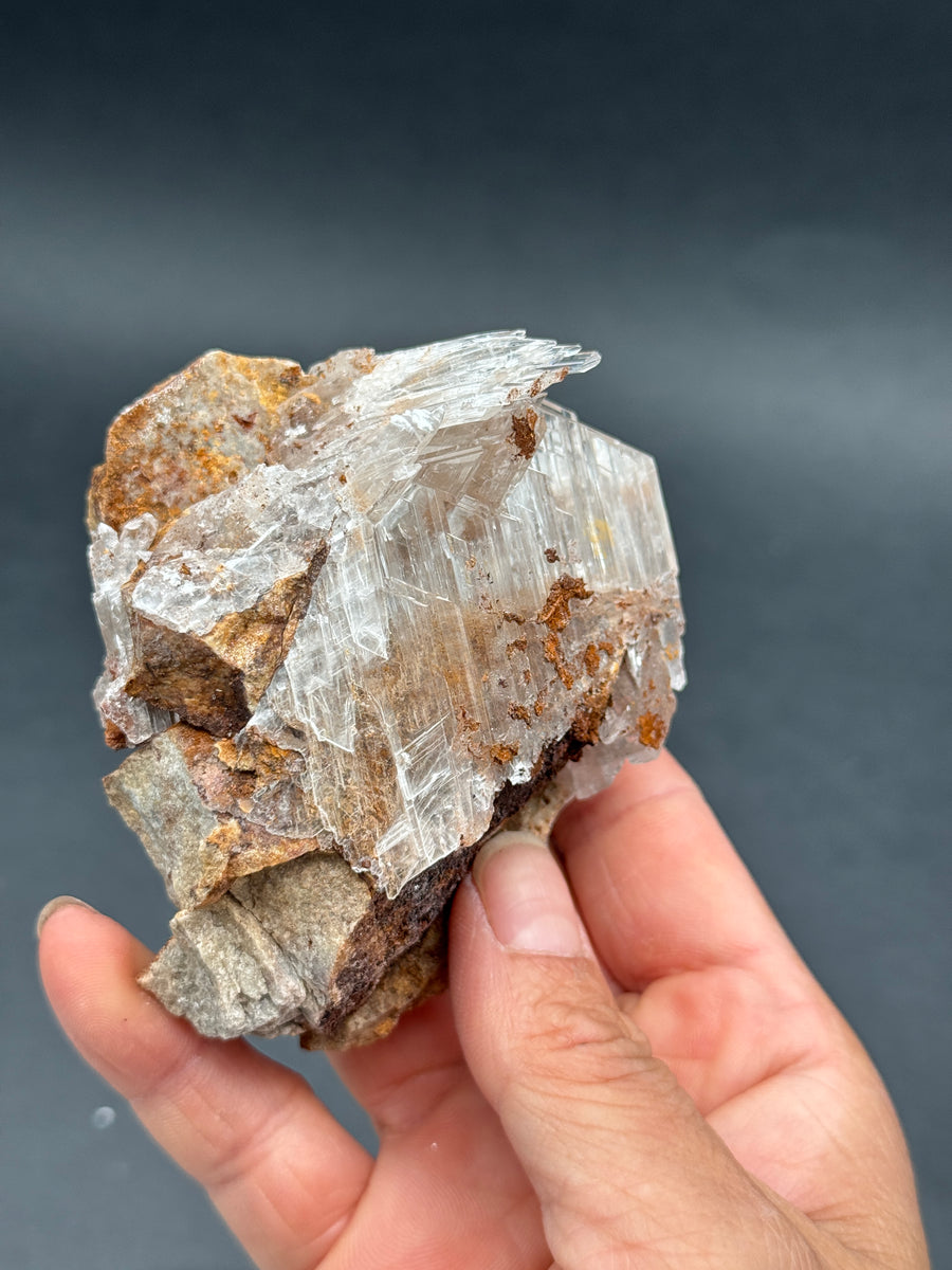Selenite from Buena Tierra Mine, Mexico