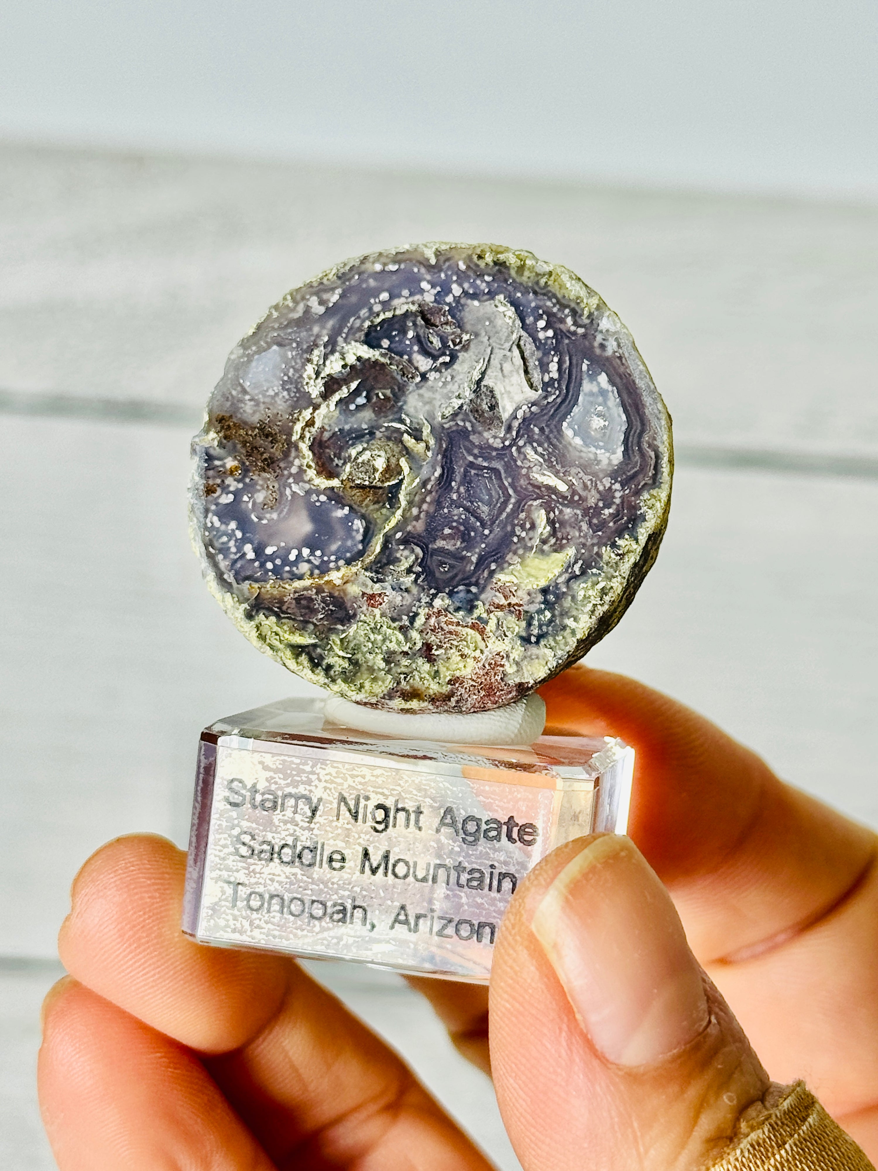 Zoom