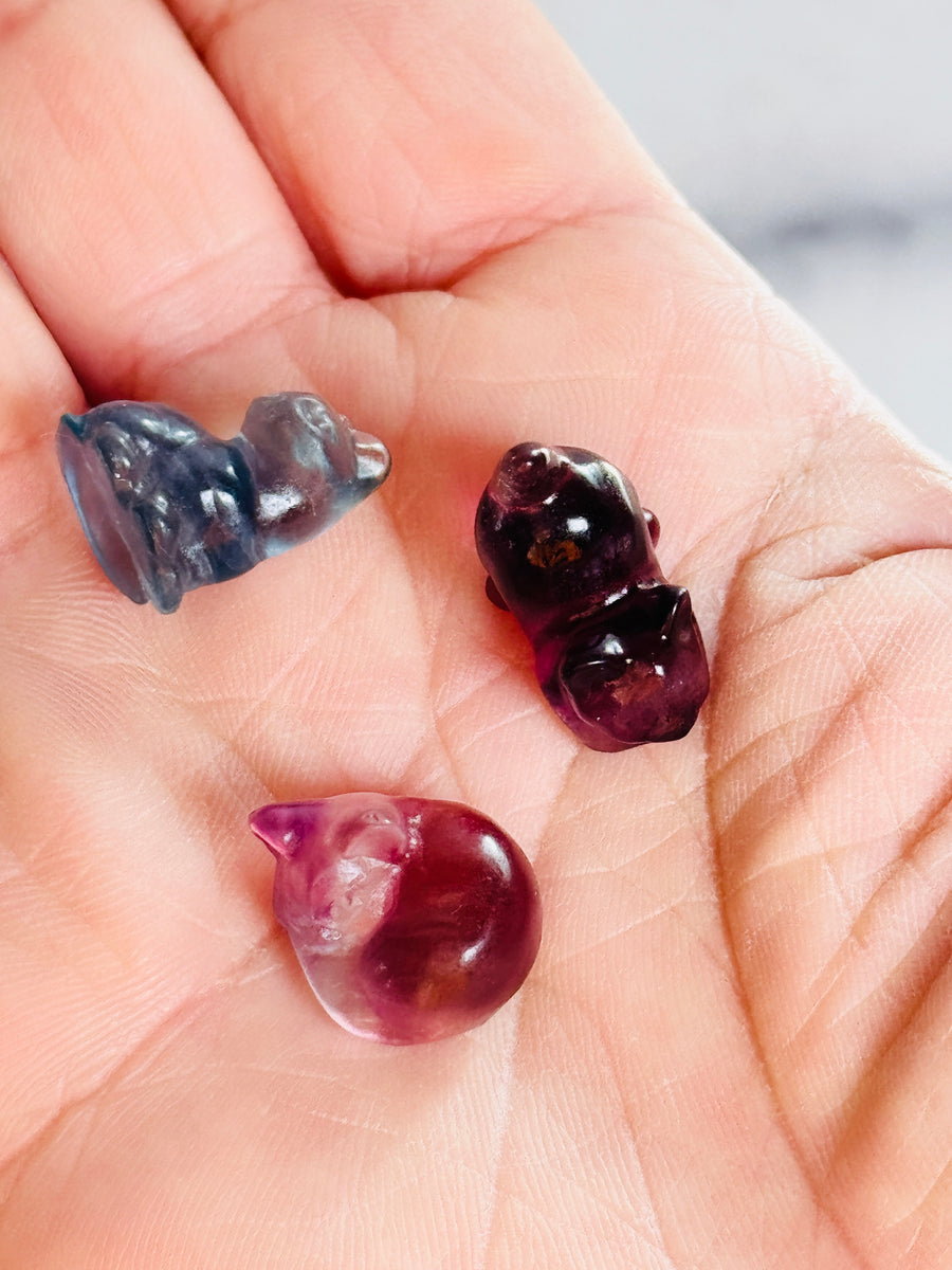 Mini Fluorite Kitten Carving Gift Set