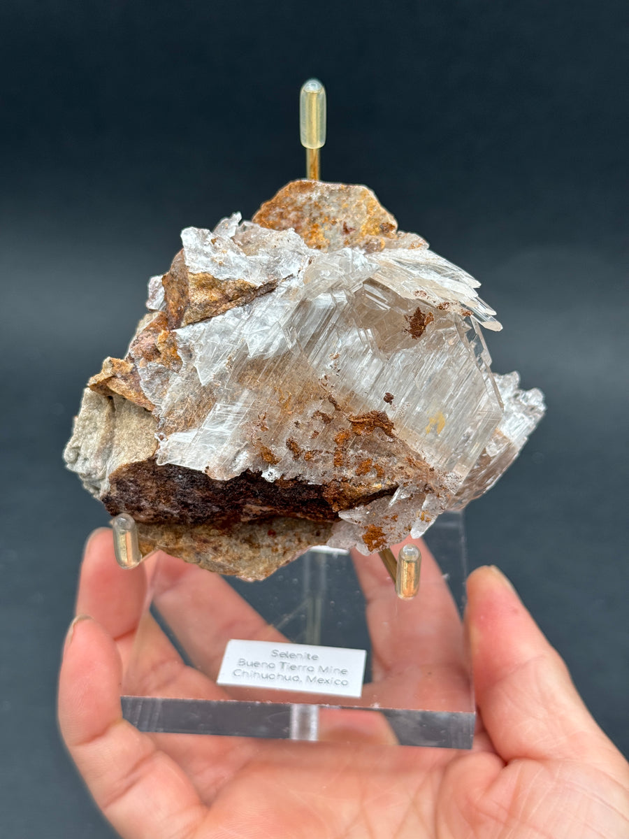 Selenite from Buena Tierra Mine, Mexico