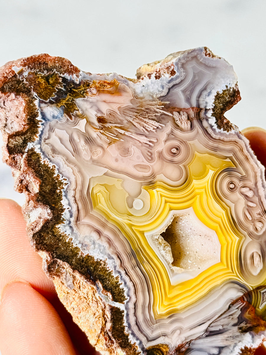 Laguna Agate from Chihuahua Mexico