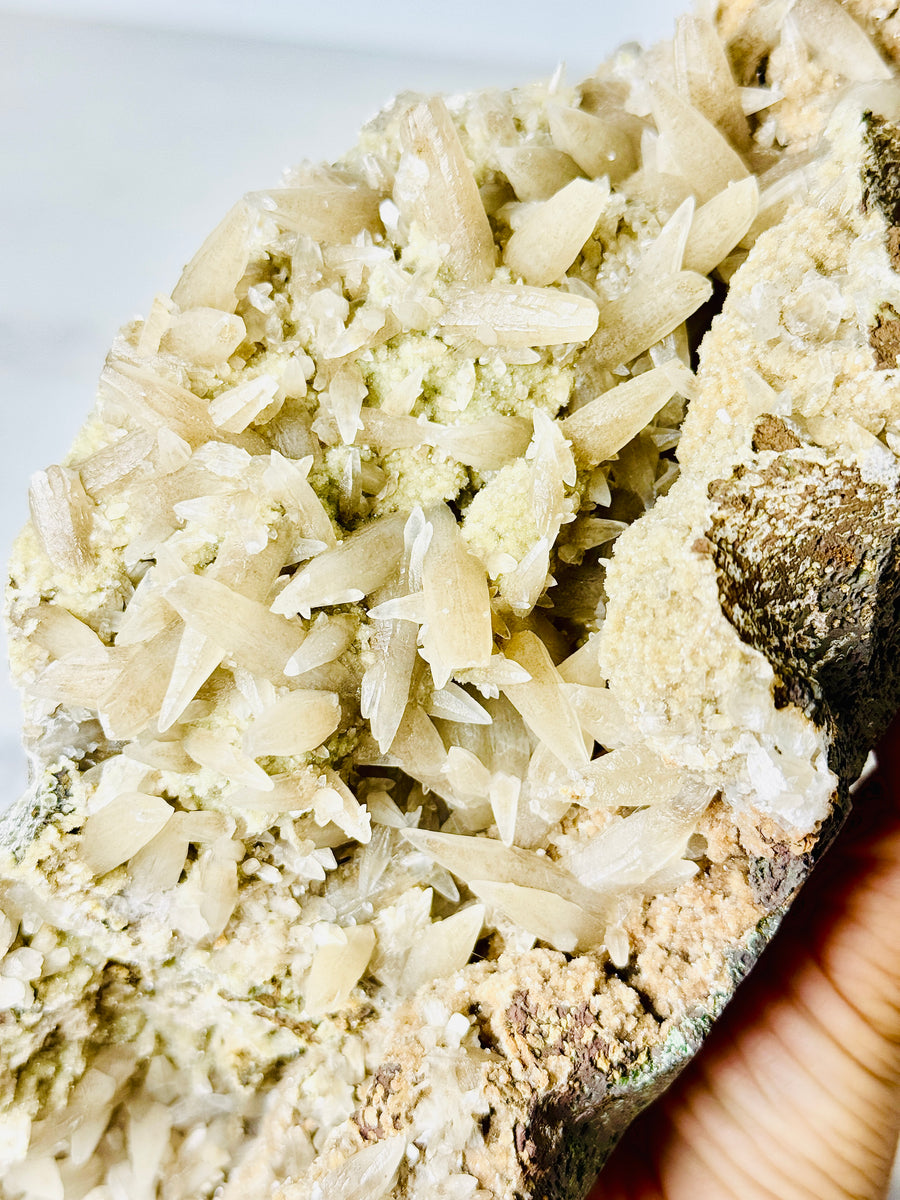 Dogtooth Calcite
