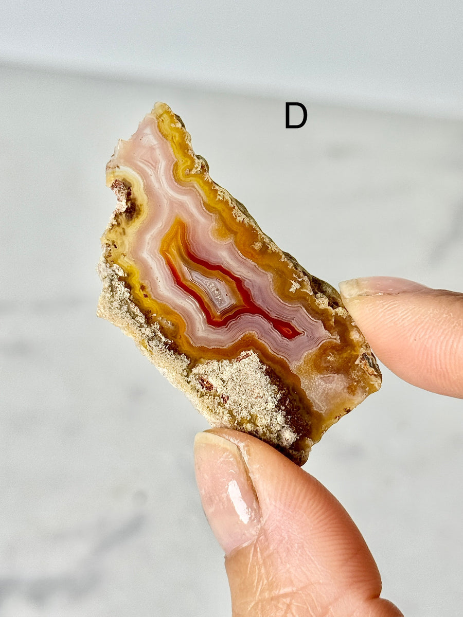 Laguna Agate Slice from Chihuahua Mexico