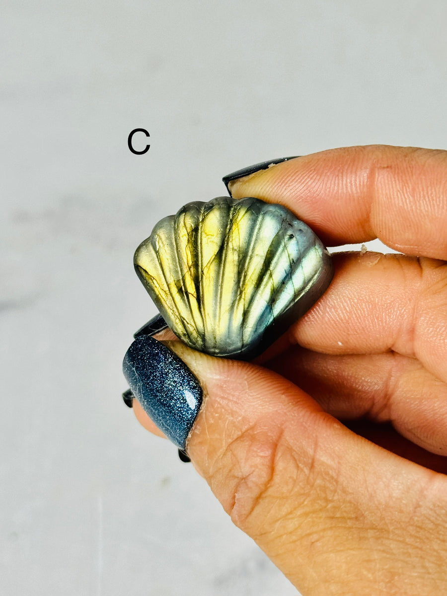 Labradorite Shell Carving