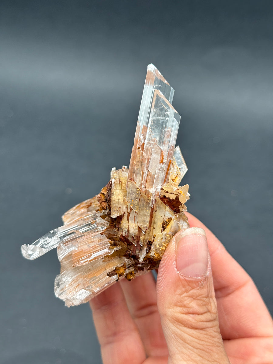 Selenite from Buena Tierra Mine, Mexico