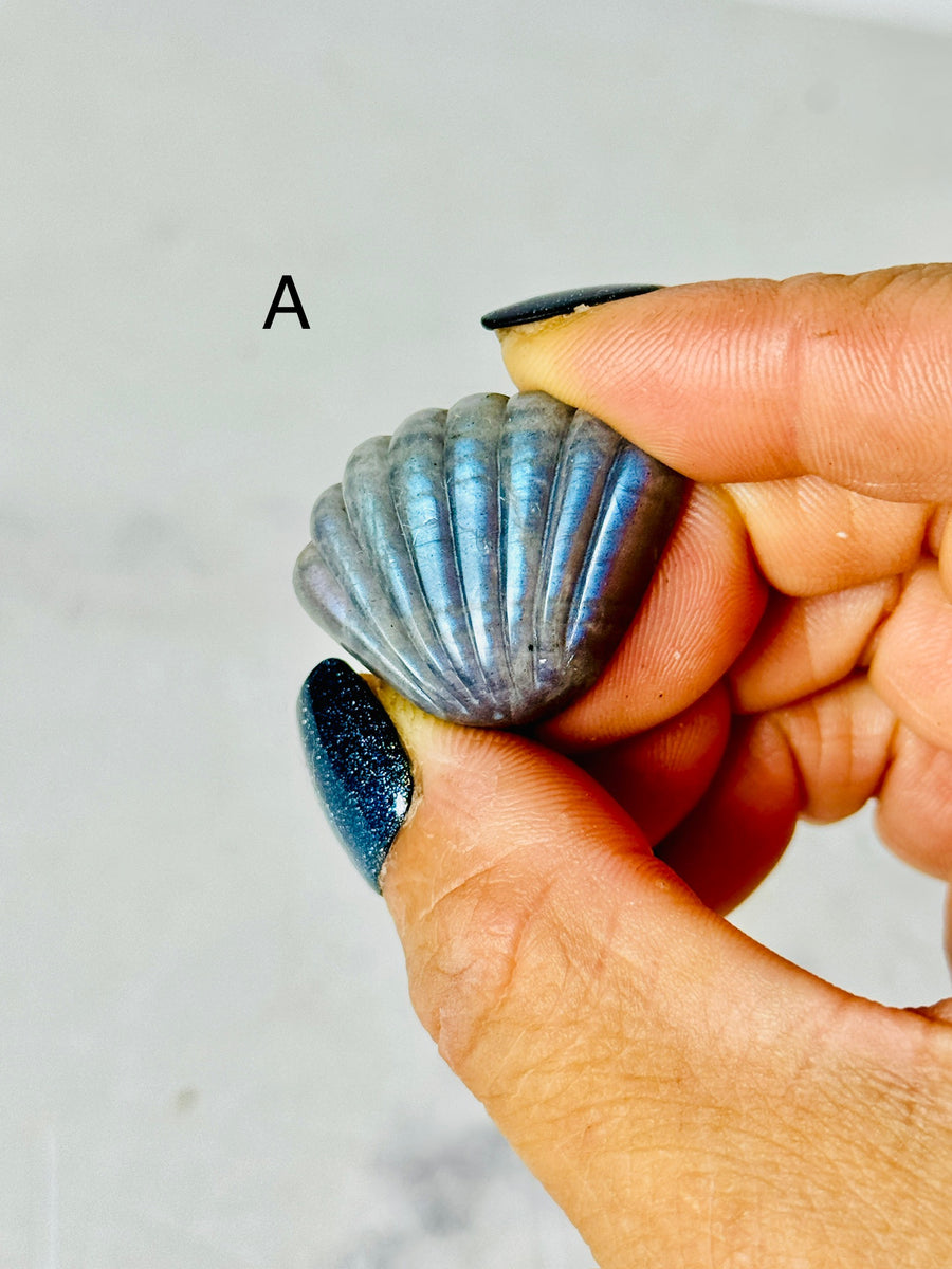 Labradorite Shell Carving