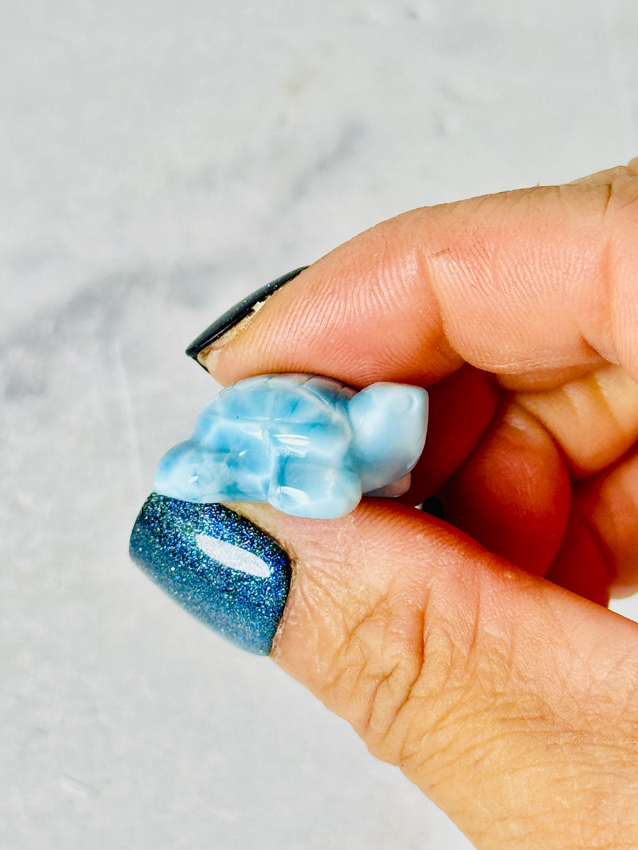 High Quality Larimar Turtle Carving