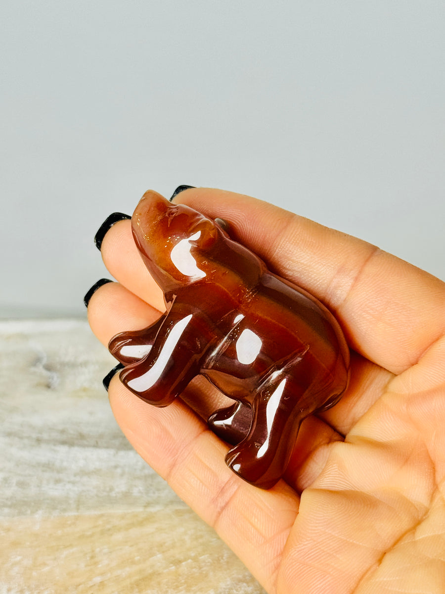 Carnelian Bear Carving
