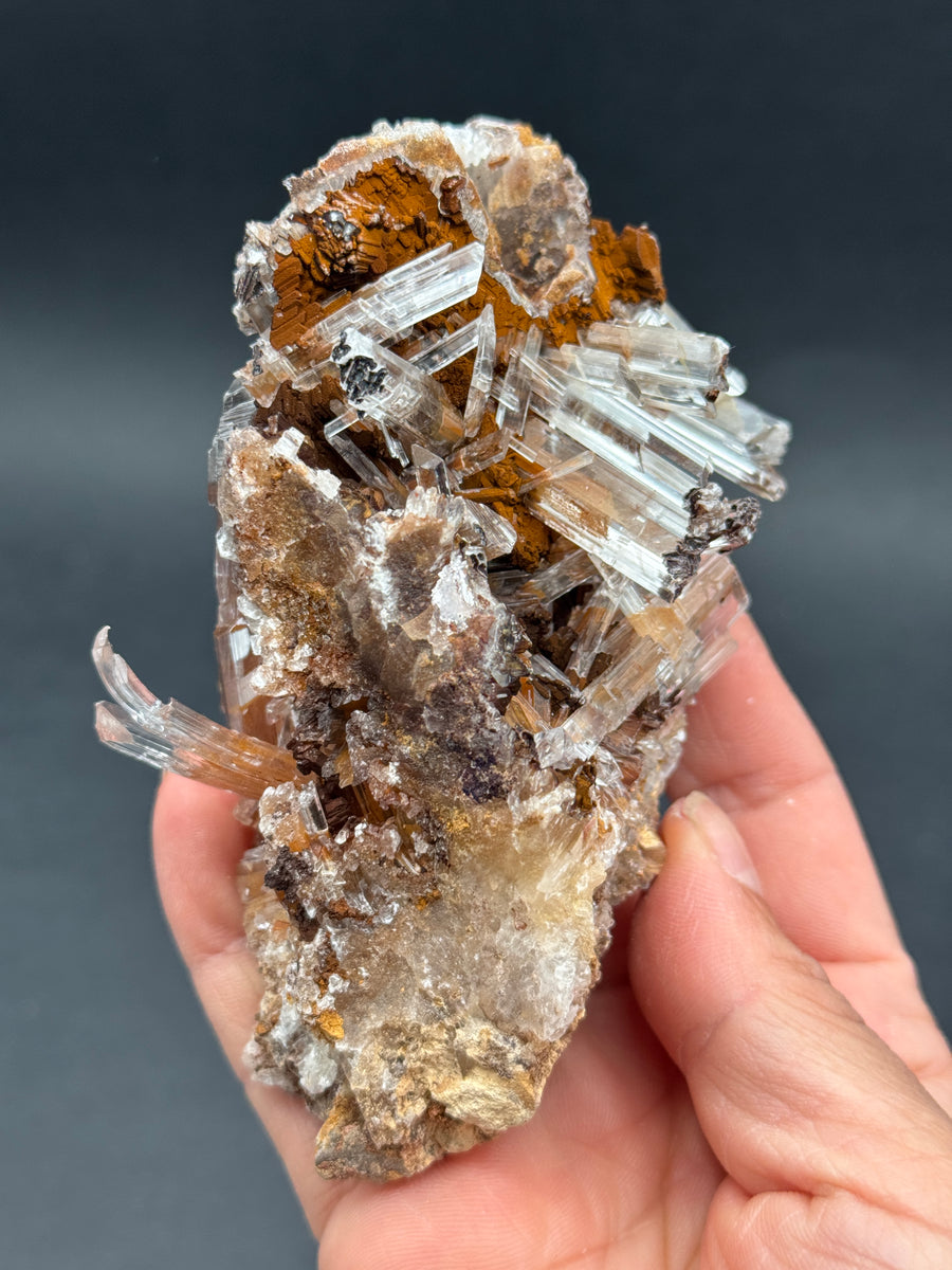 Selenite from Buena Tierra Mine, Mexico