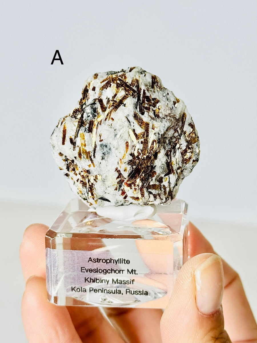 Astrophyllite from Eveslogchorr Mt., Russia