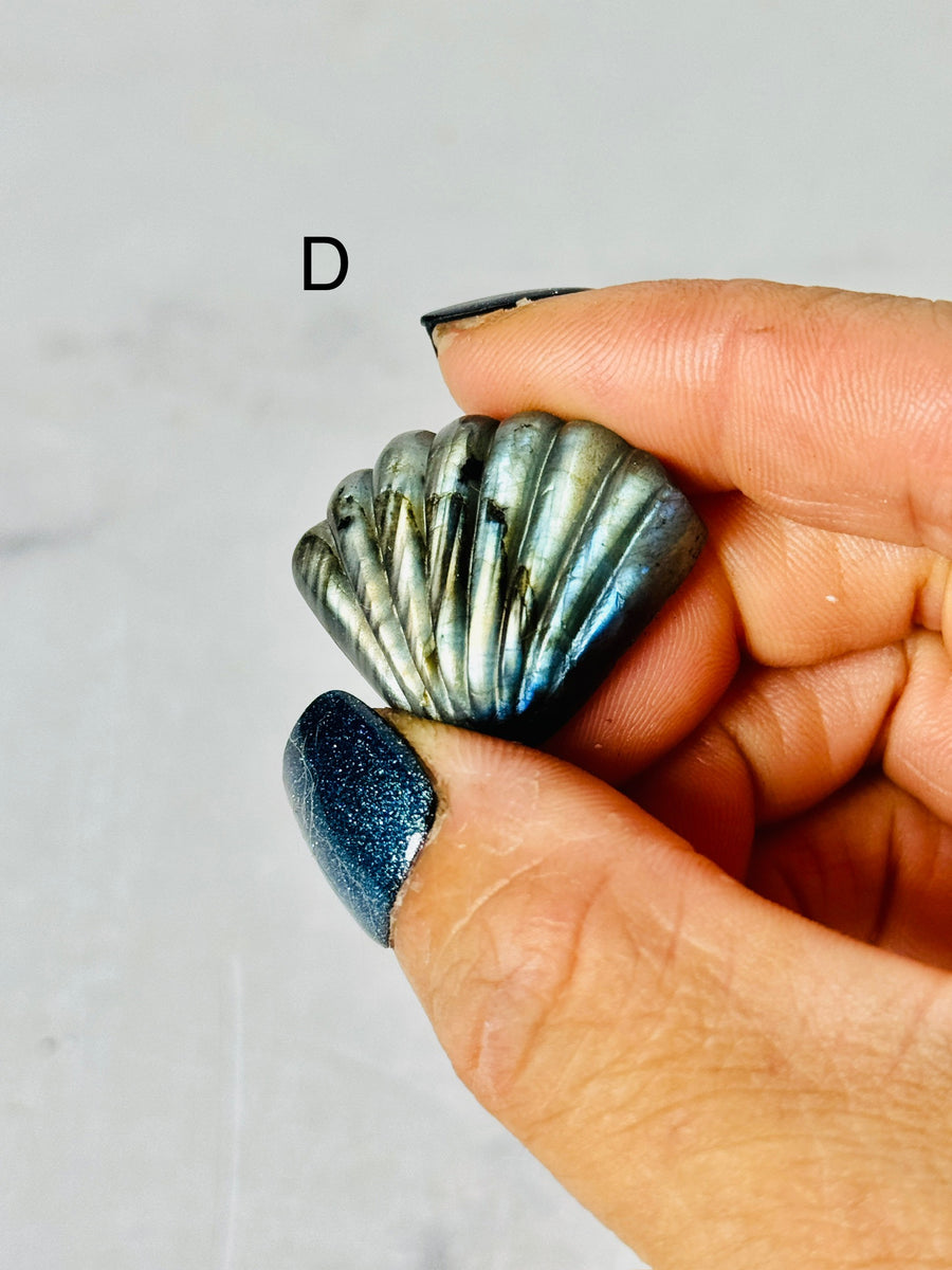 Labradorite Shell Carving