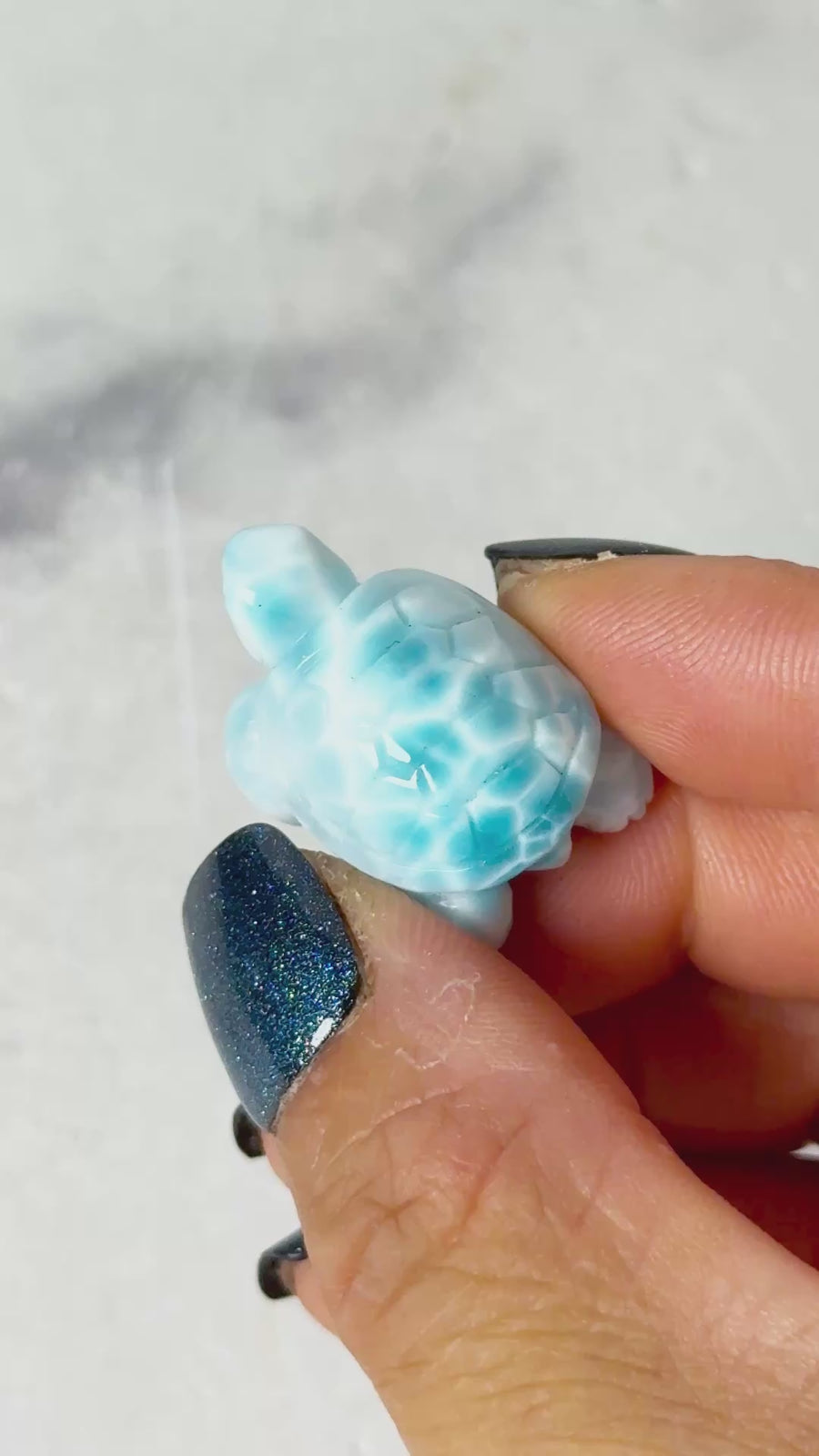 High Quality Larimar Turtle Carving