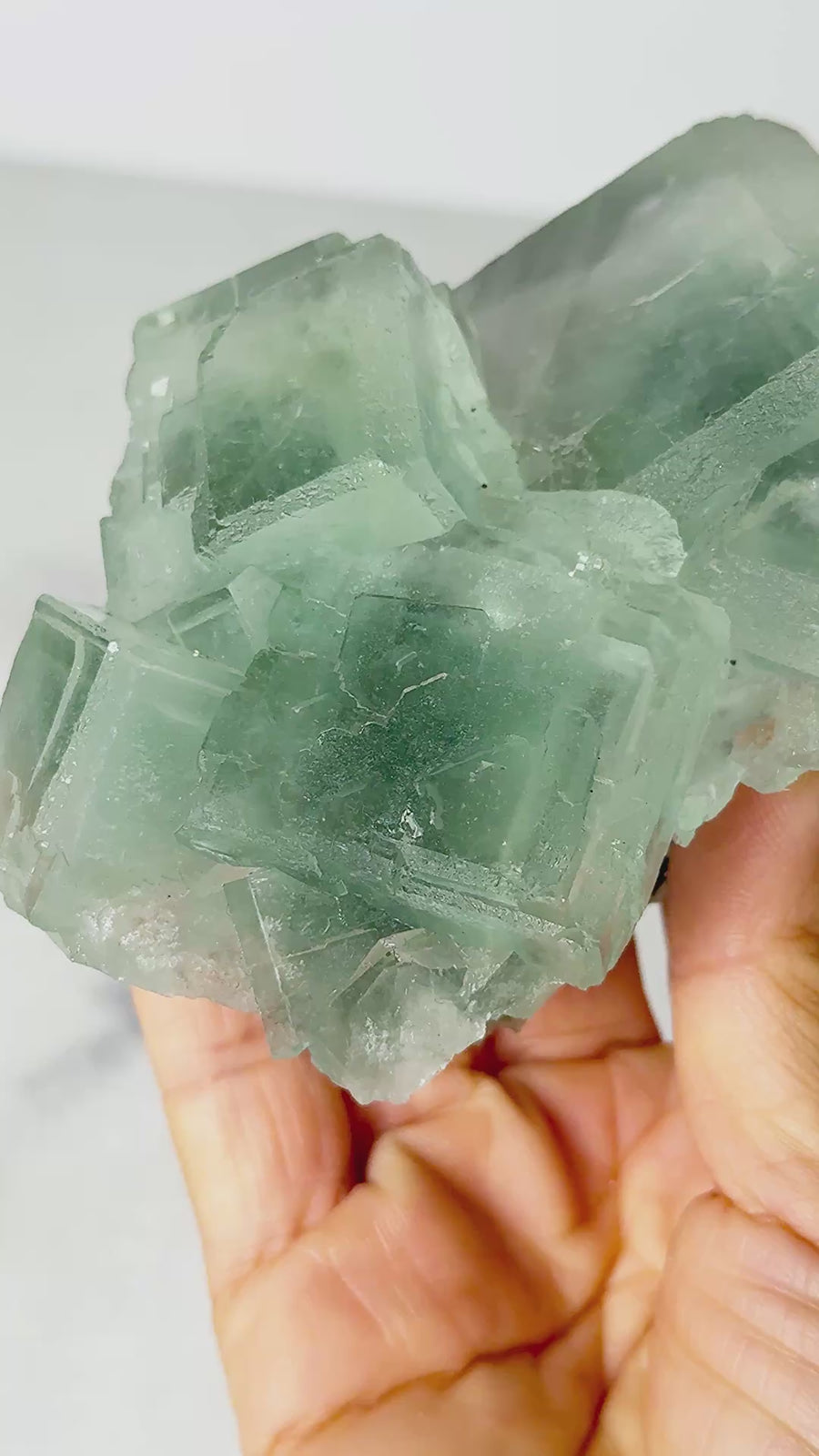 Green Porcelain Fluorite