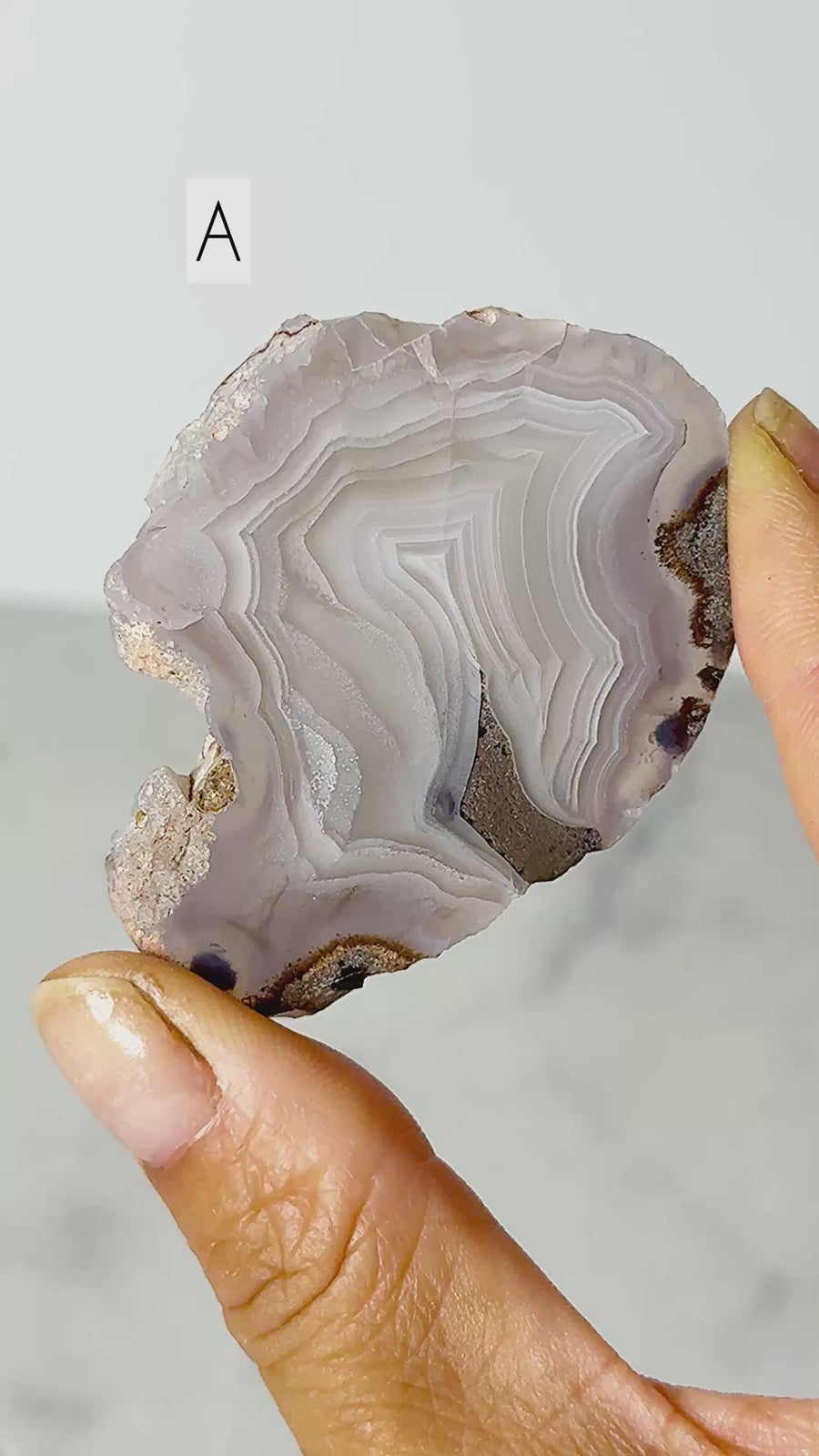 Laguna Agate Slice from Chihuahua Mexico