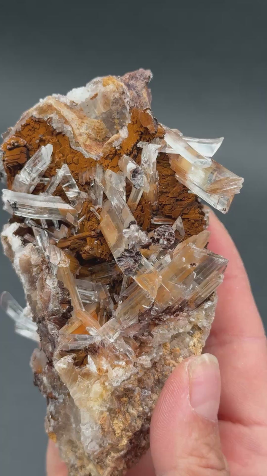 Selenite from Buena Tierra Mine, Mexico