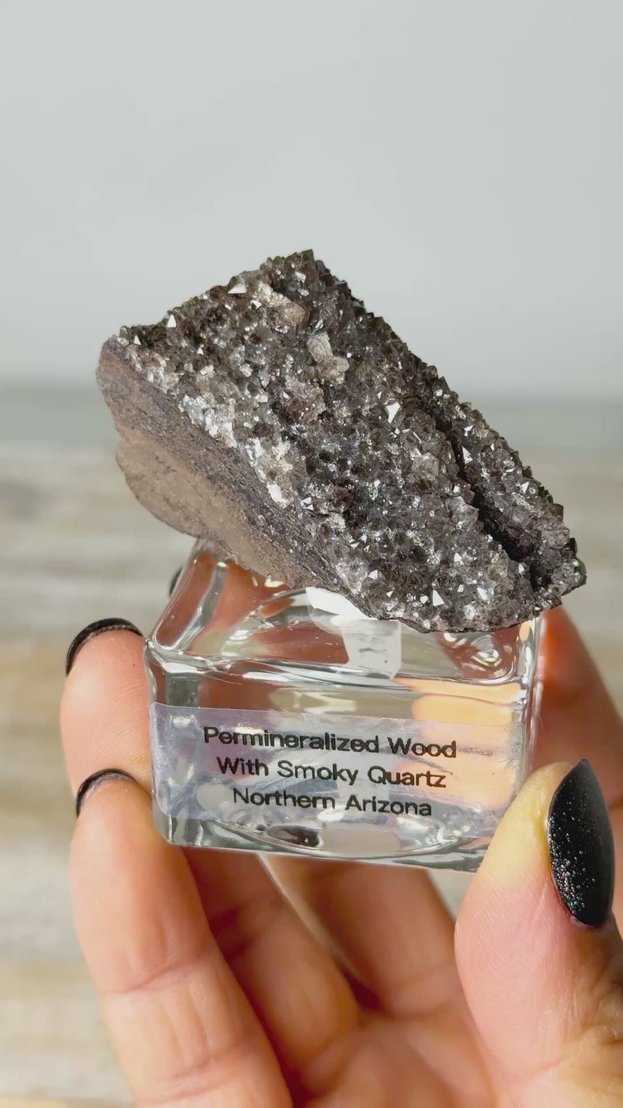 Permineralized Wood with Smoky Quartz from Arizona