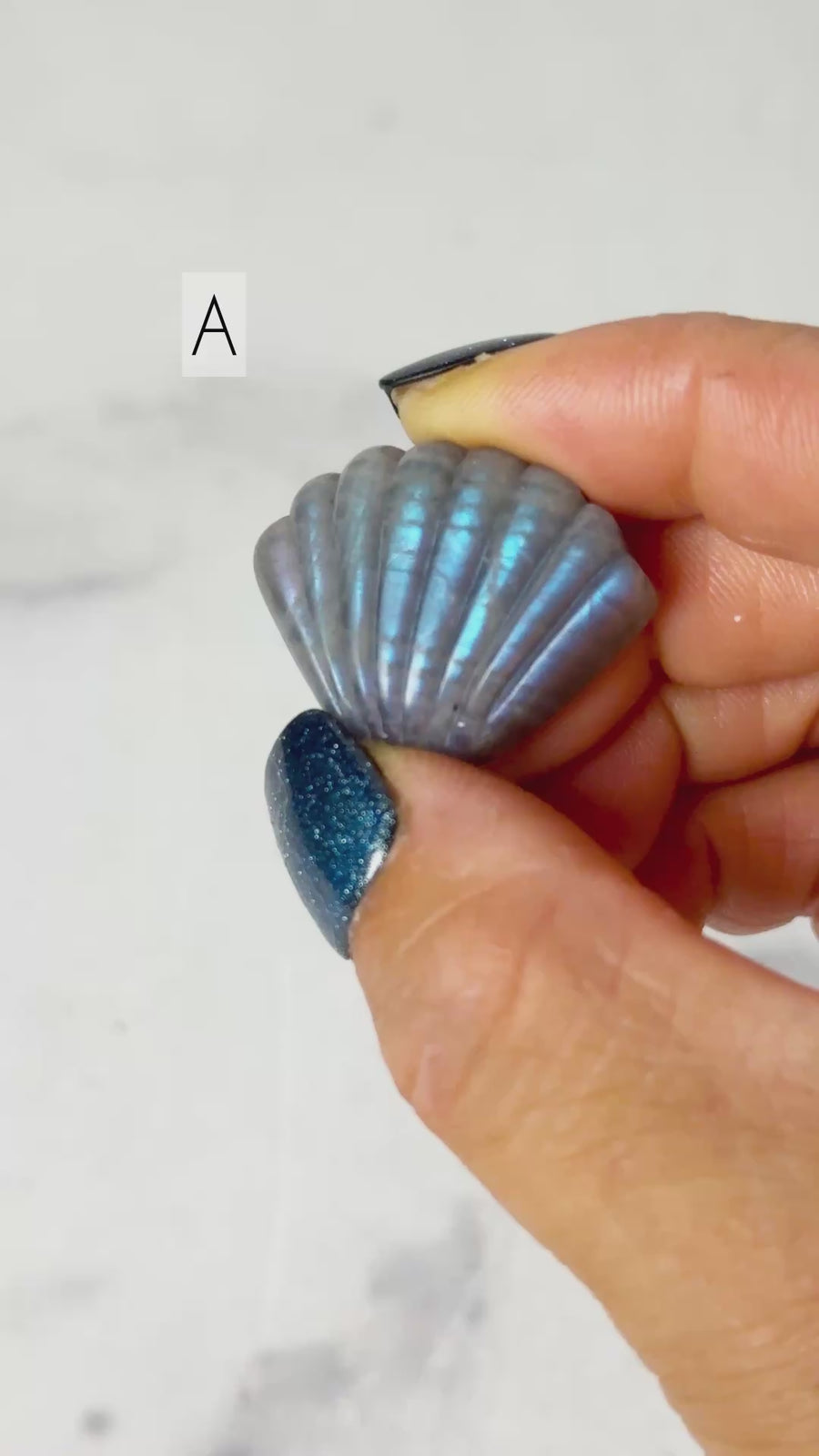 Labradorite Shell Carving