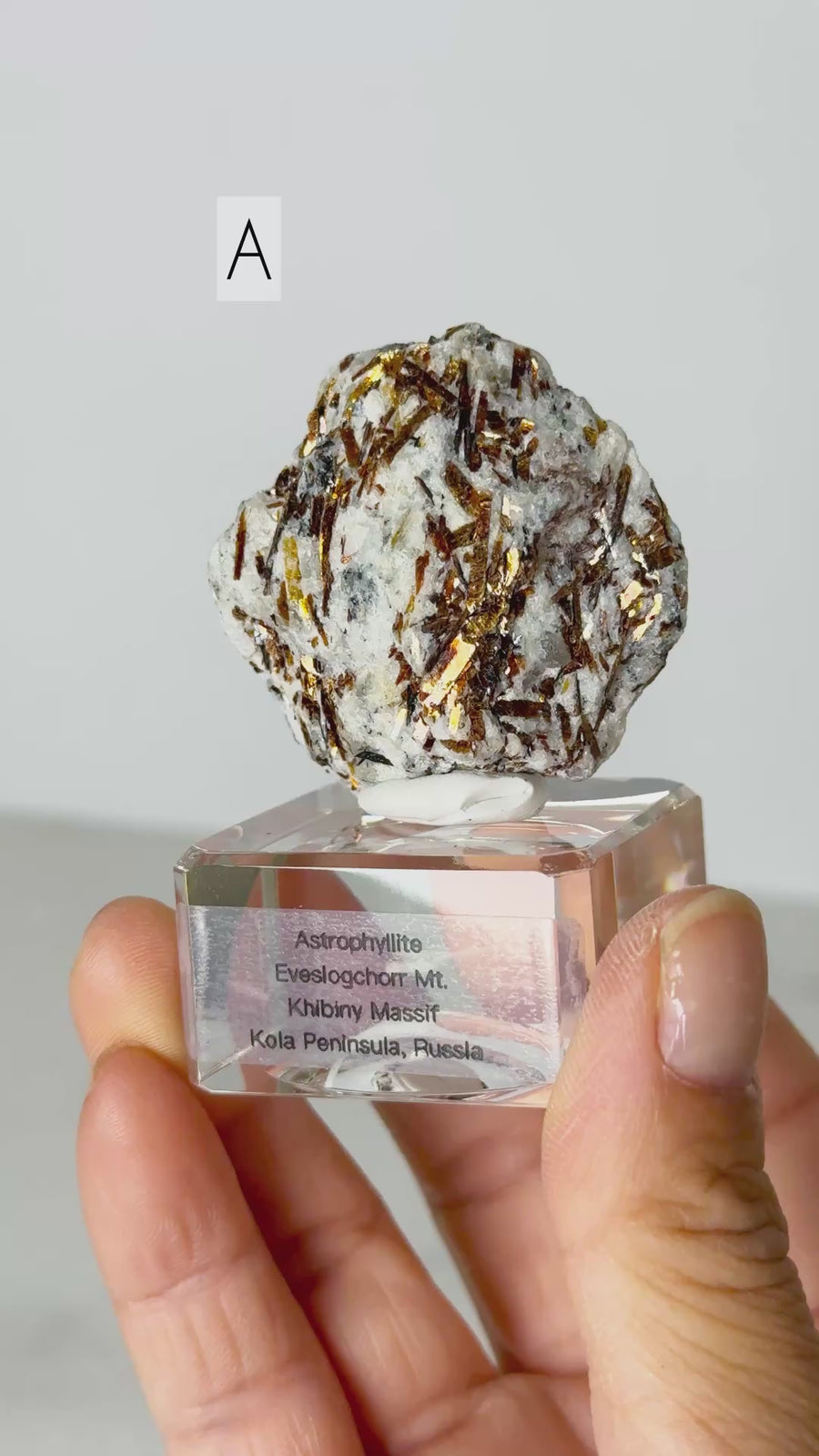 Astrophyllite from Eveslogchorr Mt., Russia