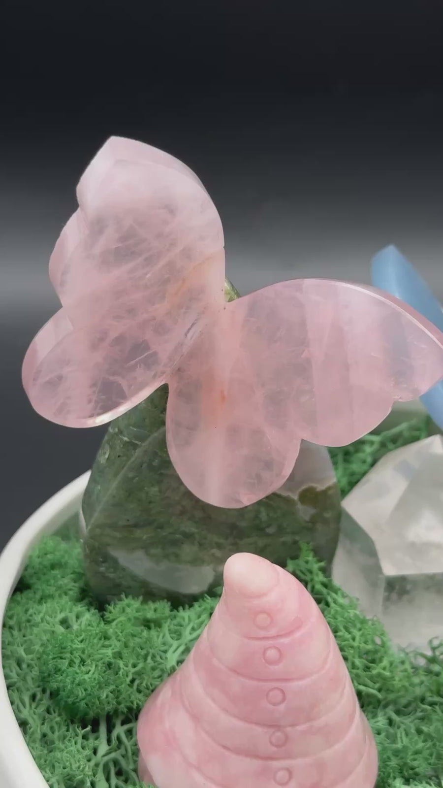 The Fairy Garden of Healing