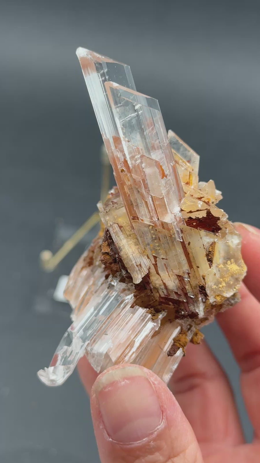 Selenite from Buena Tierra Mine, Mexico