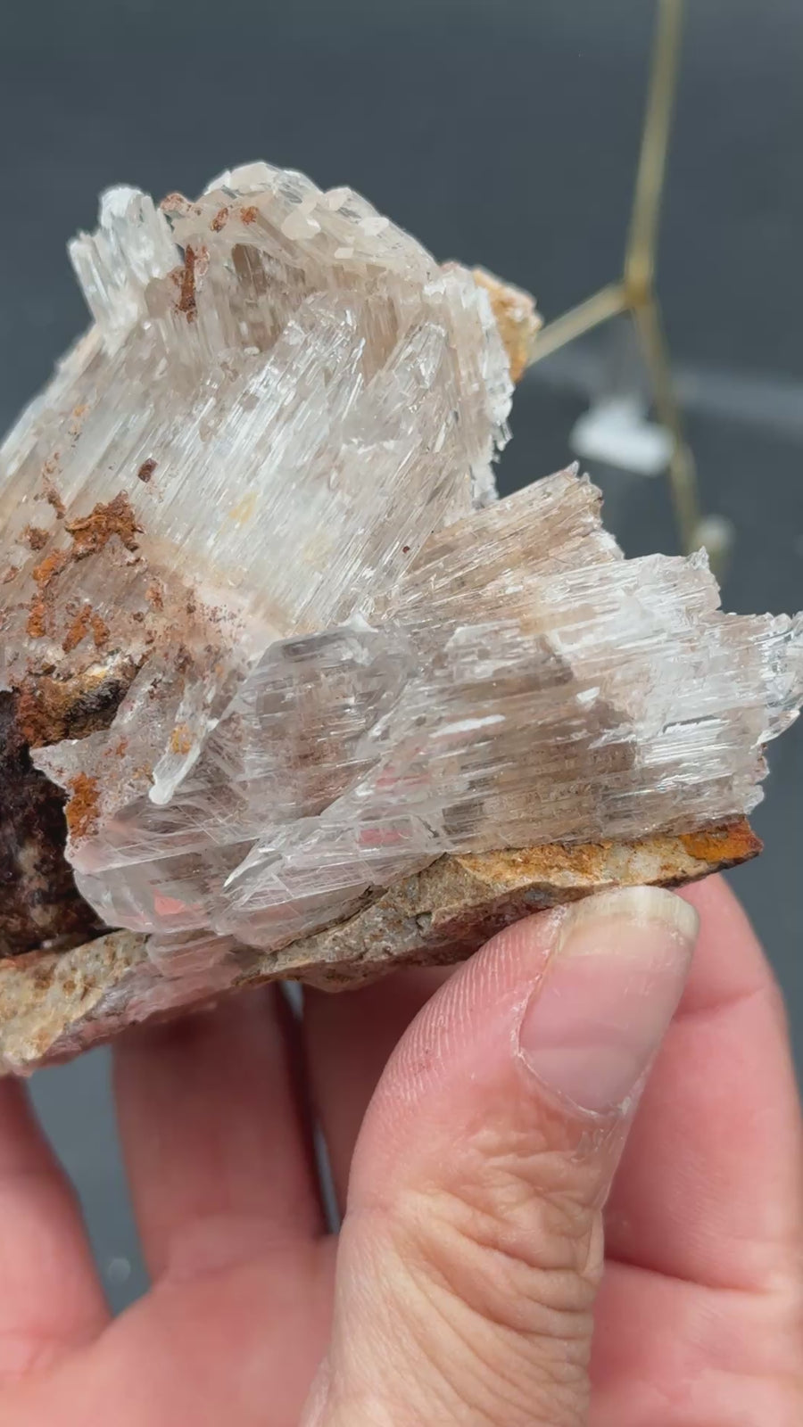 Selenite from Buena Tierra Mine, Mexico