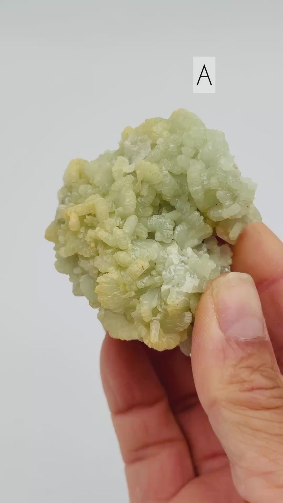 Prehnite from Morocco